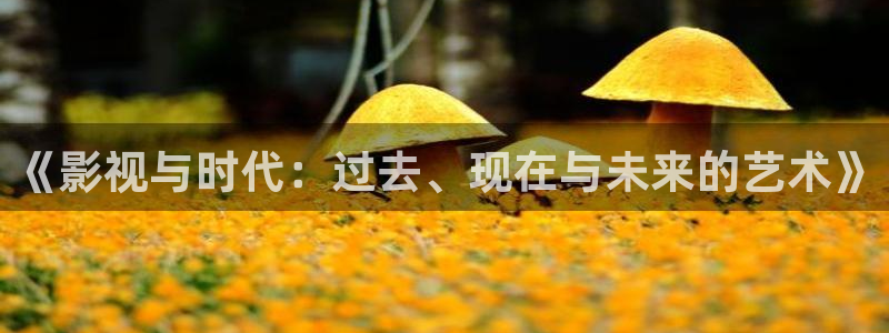 51在线不卡：《影视与时代：过去、现在与未来的艺术》