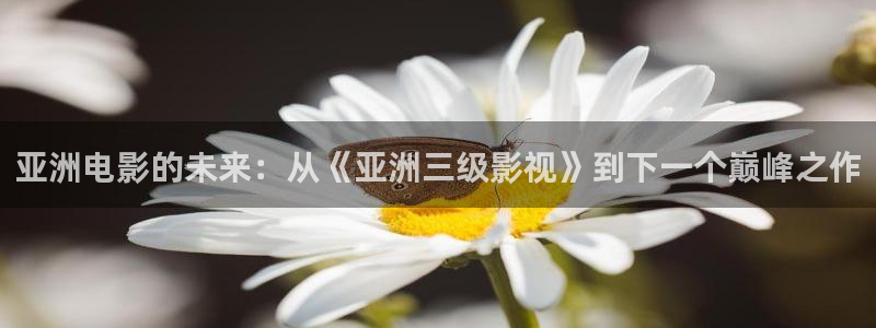 光棍电影院不卡：亚洲电影的未来：从《亚洲三级影视》到下一个巅峰之作