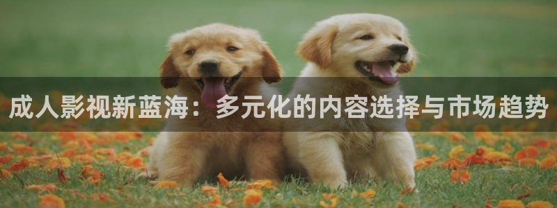 神马影视我不卡手机版：成人影视新蓝海：多元化的内容选择与市场趋势