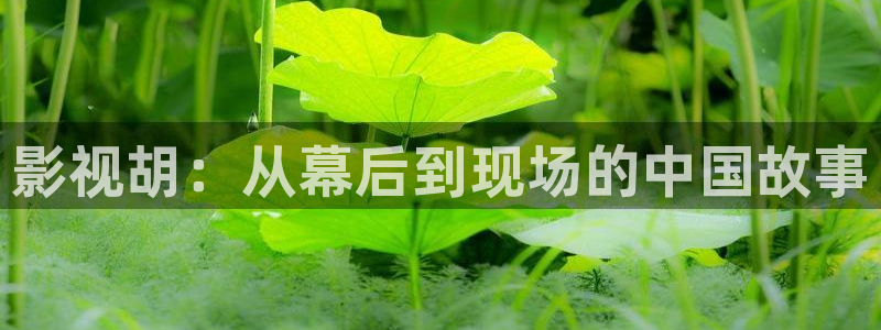 一级黄色片不卡