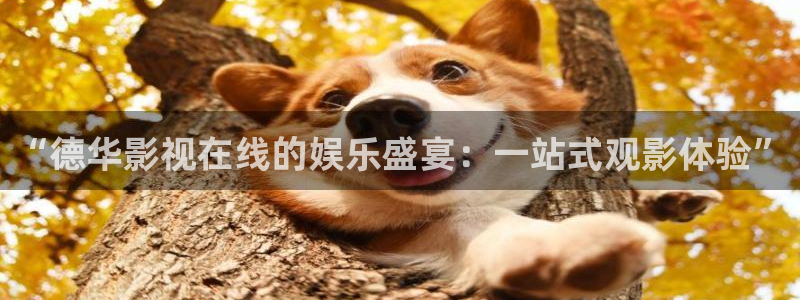一二三区不卡电影