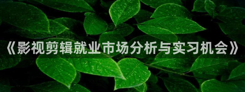 我不卡电影在线播放